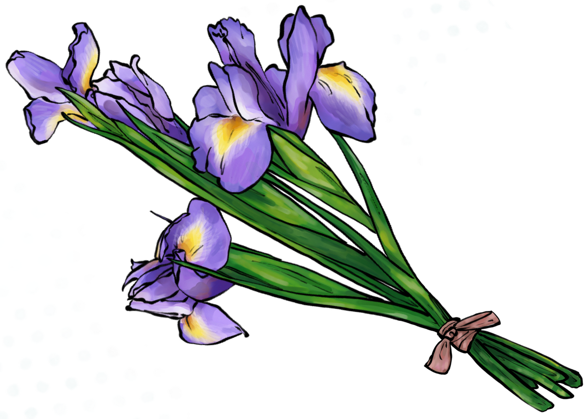 Irises